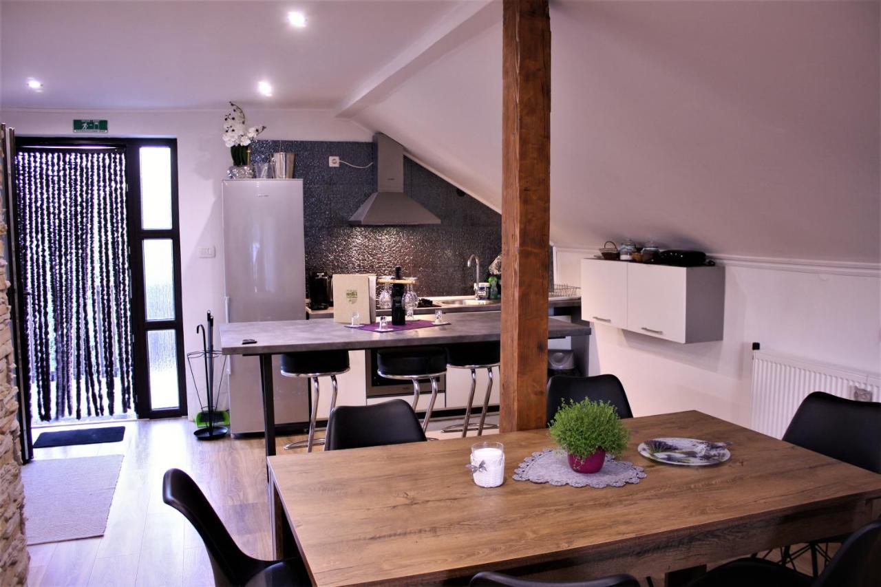 Apartman Patricia Daire Fužine Dış mekan fotoğraf