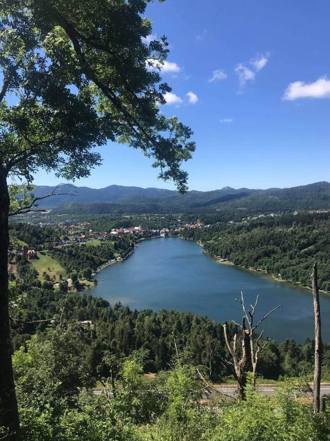 Apartman Patricia Daire Fužine Dış mekan fotoğraf