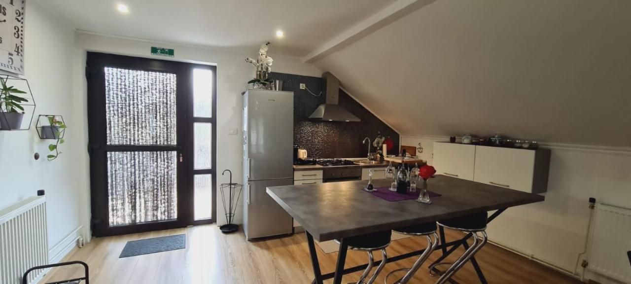 Apartman Patricia Daire Fužine Dış mekan fotoğraf