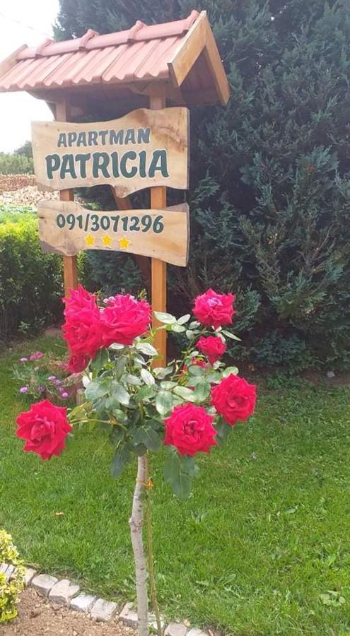 Apartman Patricia Daire Fužine Dış mekan fotoğraf